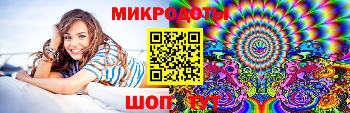 Галлюциногенные грибы Psilocybe Фролово