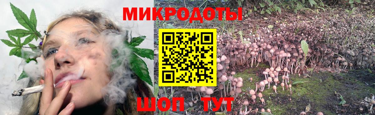 хочу наркоту  Псилоцибиновые грибы Psilocybe  Вход с VPN  Фролово 